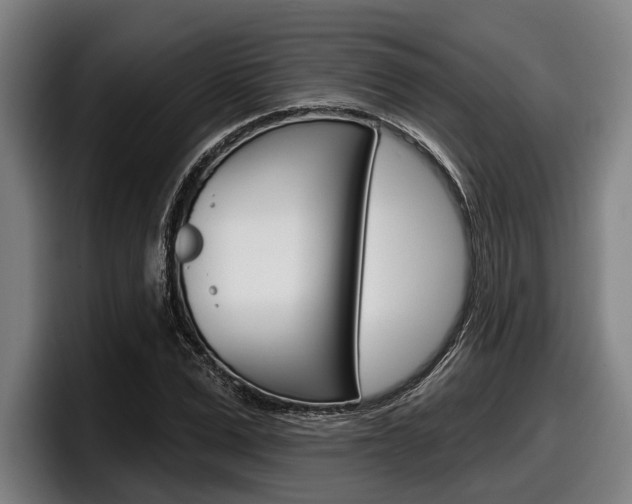 X0000098150975200804171153