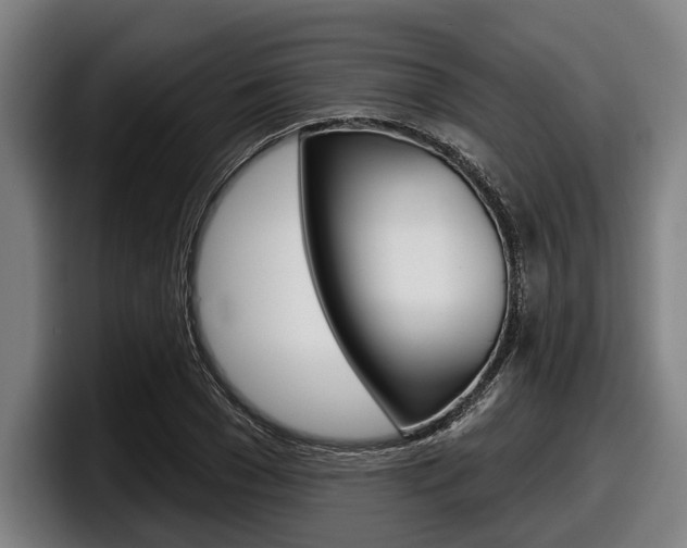 X0000098150977200804171153