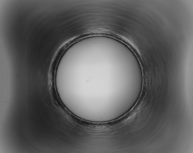 X0000098150979200804171153