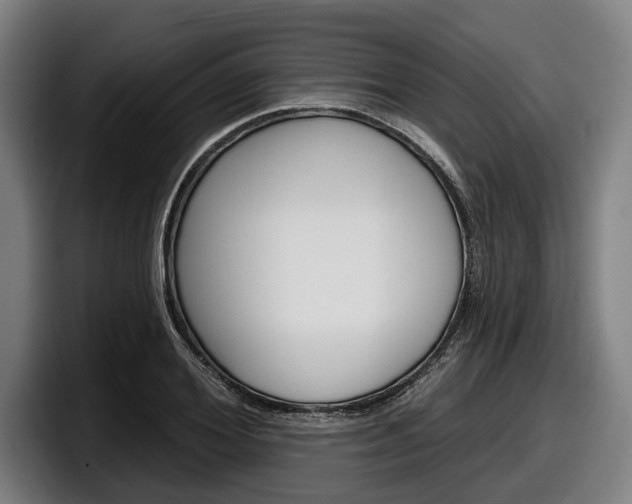 X0000098150980200804171153