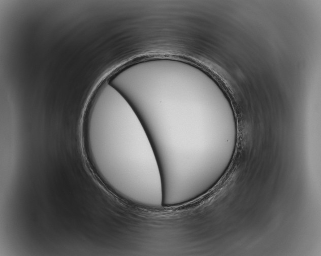 X0000098150982200804171153
