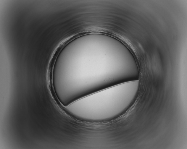 X0000098150987200804171153