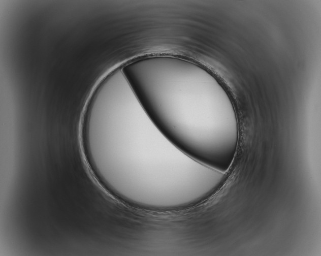 X0000098150991200804171153
