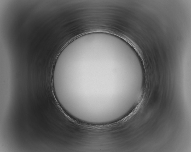 X0000098150993200804171153