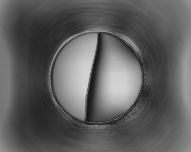 X0000098150996200804171153