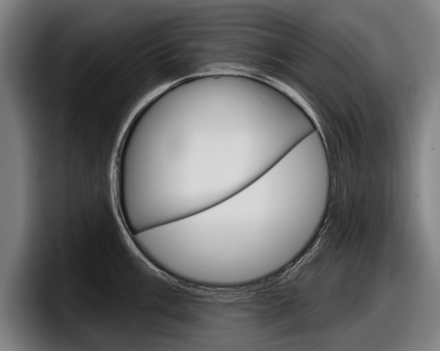 X0000098151003200804171153