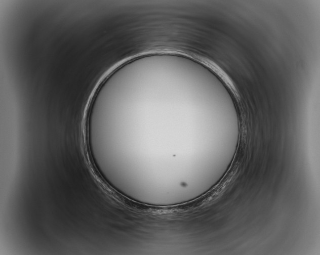 X0000098151004200804171153