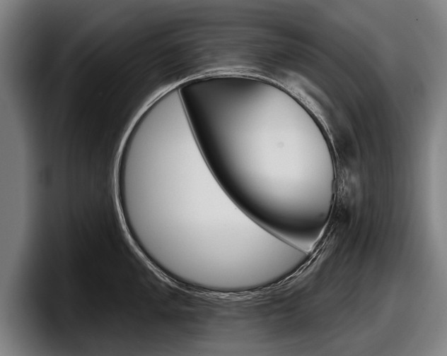 X0000098151005200804171153