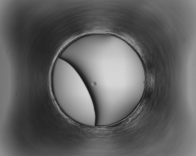 X0000098151006200804171153