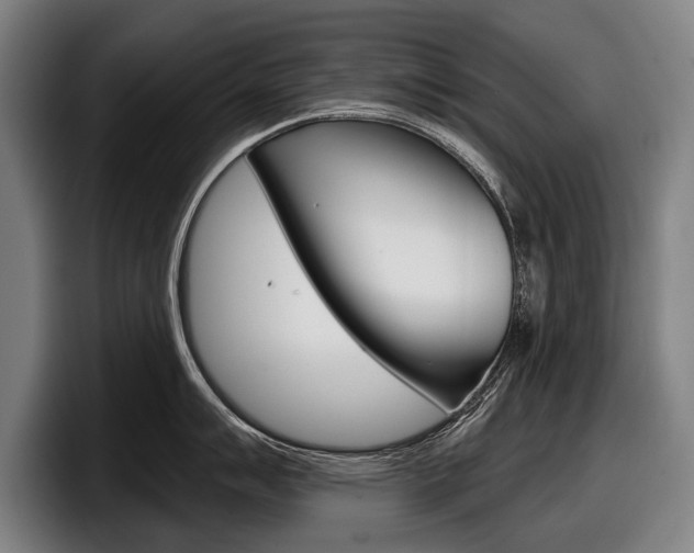 X0000098151007200804171153