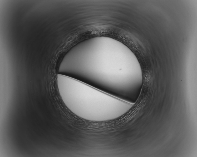 X0000098151012200804171152