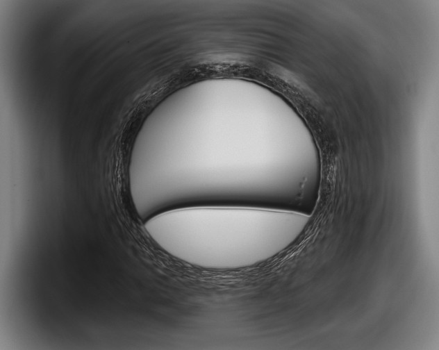X0000098151014200804171152