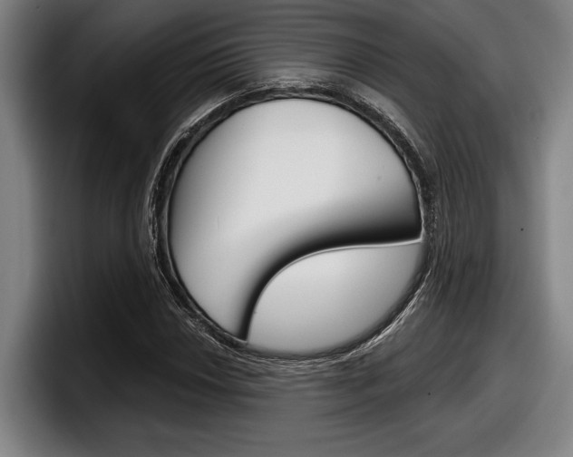 X0000098151018200804171152