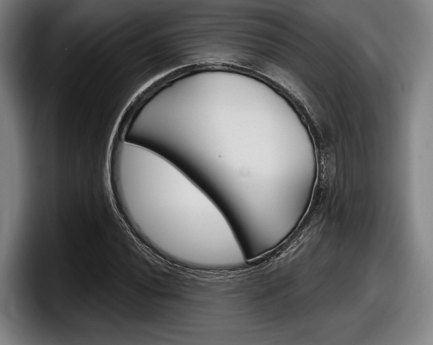X0000098151020200804171152