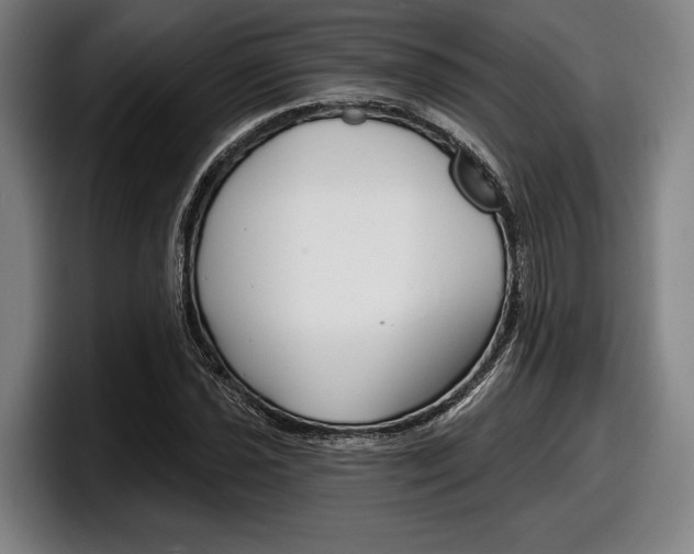 X0000098151021200804171152
