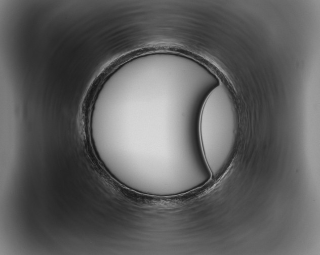 X0000098151022200804171152