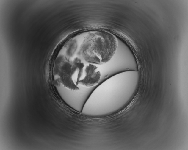 X0000098151023200804171152