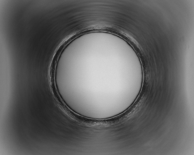 X0000098151026200804171152