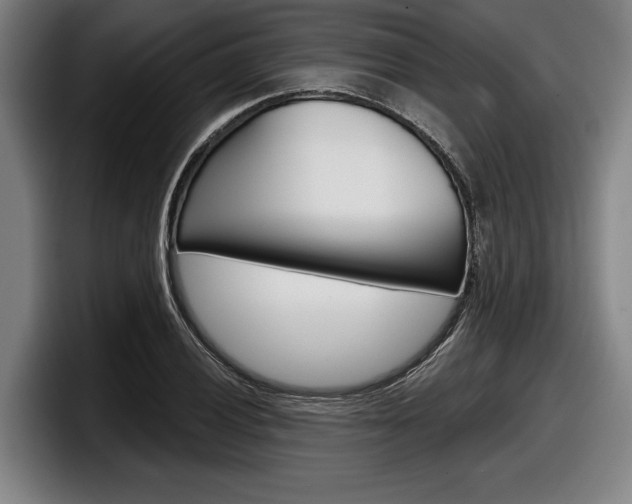 X0000098151028200804171152