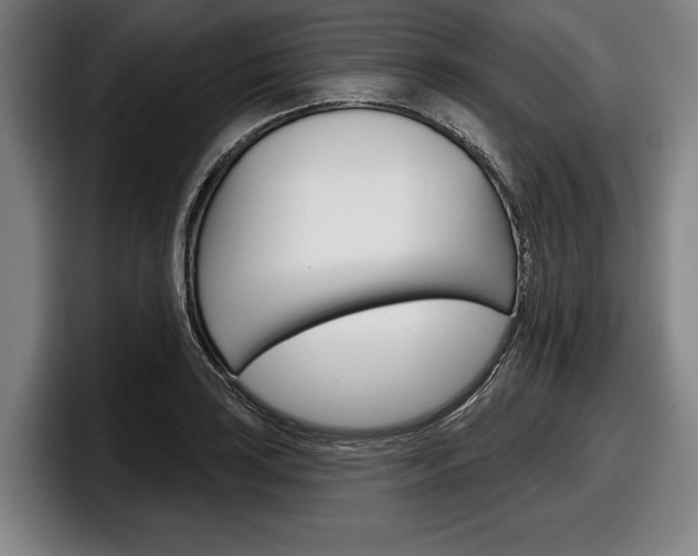 X0000098151035200804171152