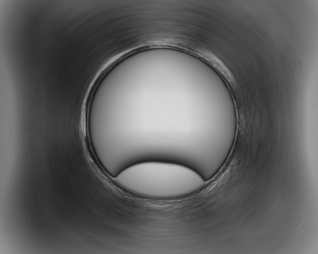 X0000098151036200804171152