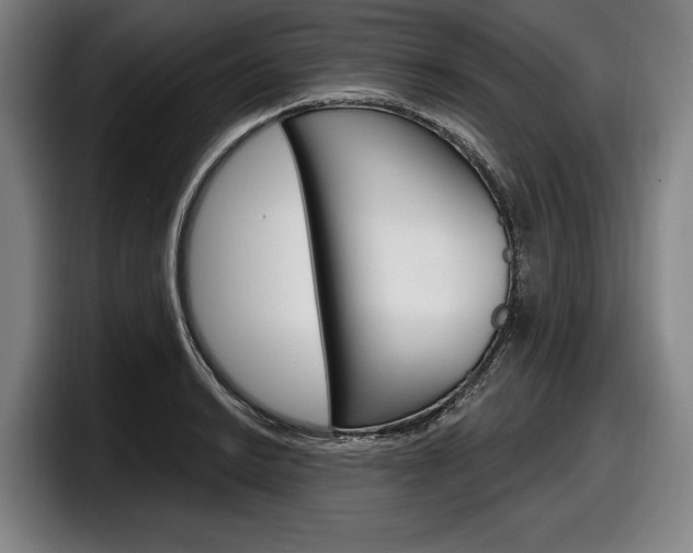 X0000098151038200804171152