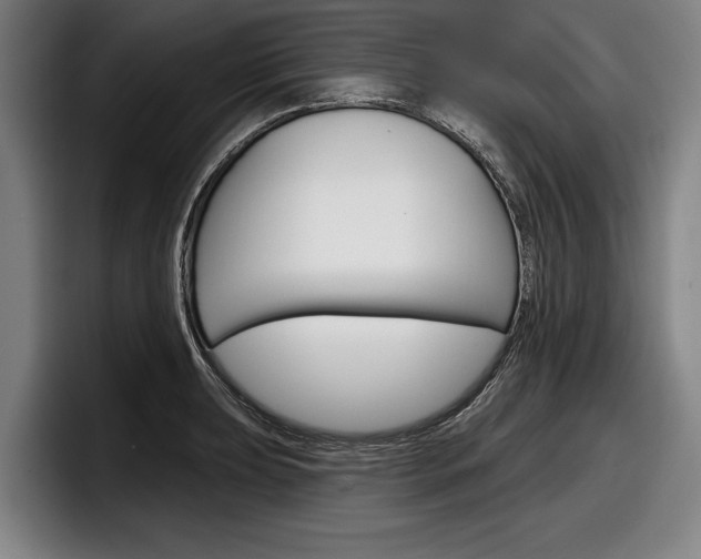 X0000098151039200804171152