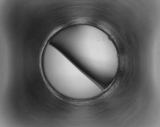 X0000098151042200804171152