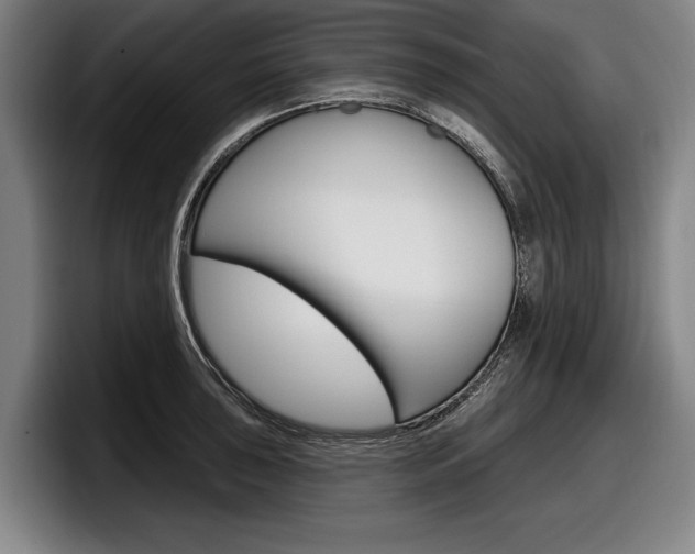 X0000098151043200804171152