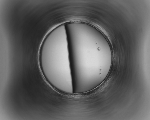 X0000098151045200804171152