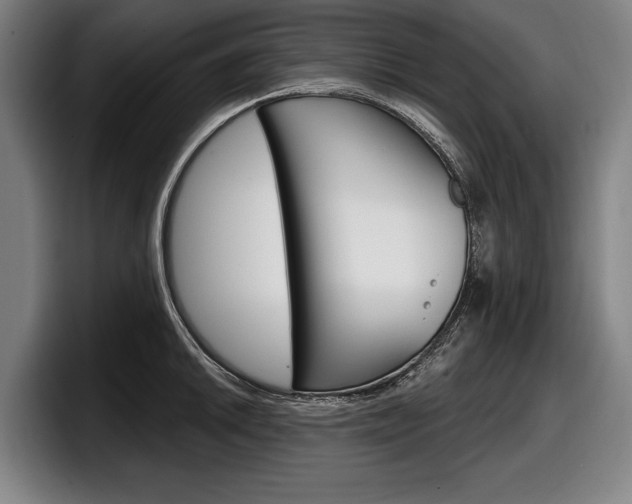 X0000098151046200804171152