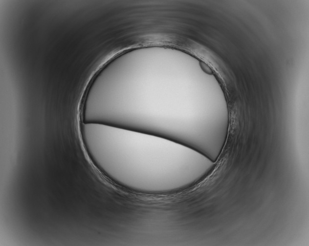 X0000098151047200804171152