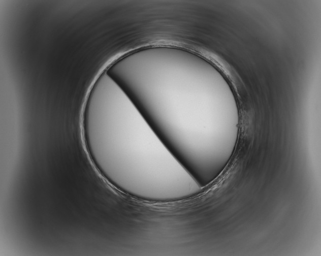 X0000098151048200804171152