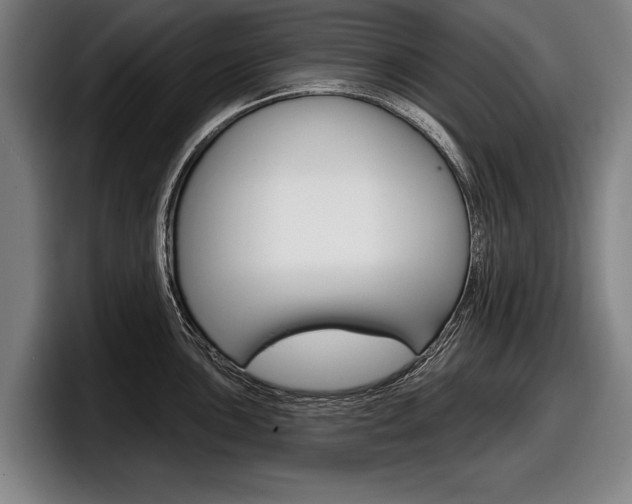 X0000098151051200804171152