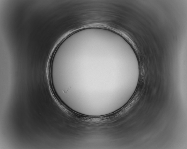 X0000098151054200804171152
