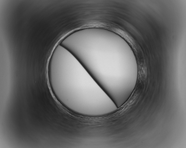 X0000098151055200804171152