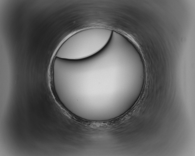 X0000098151056200804171152