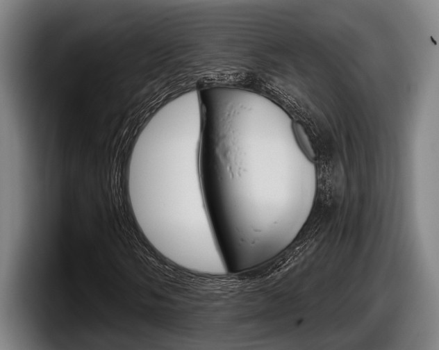 X0000098151058200804171152