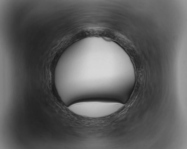 X0000098151061200804171152