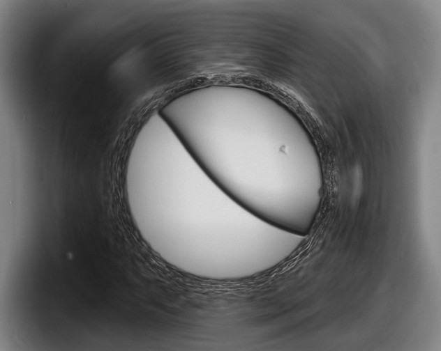 X0000098151063200804171152