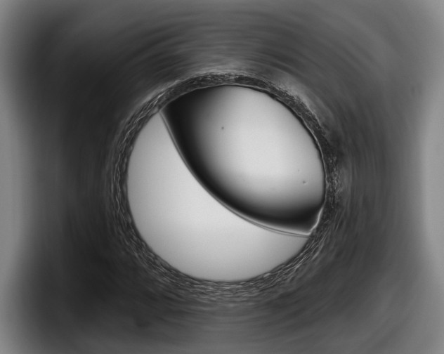 X0000098151064200804171152