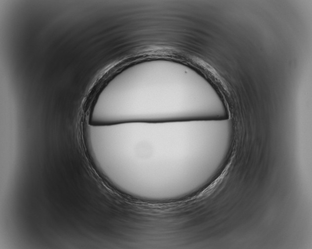 X0000098151066200804171152