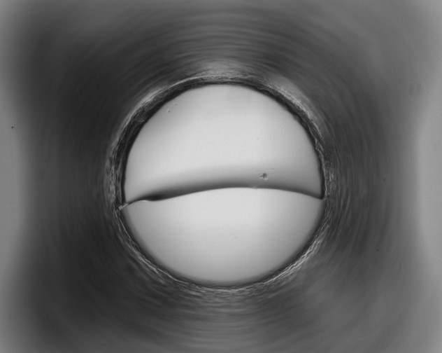 X0000098151067200804171152