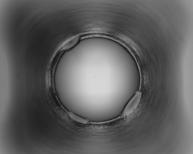 X0000098151069200804171152
