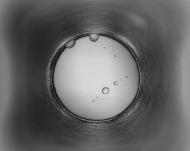 X0000098151071200804171152