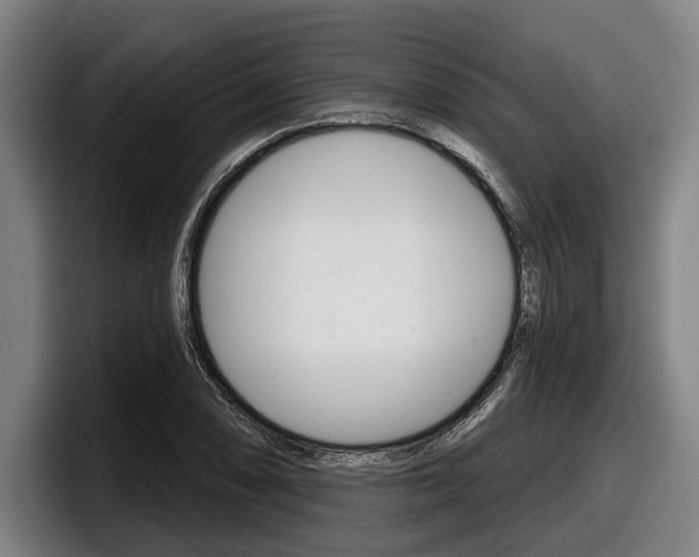 X0000098151074200804171152