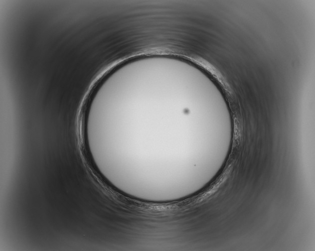 X0000098151078200804171152