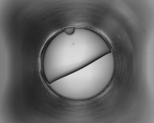 X0000098151079200804171152