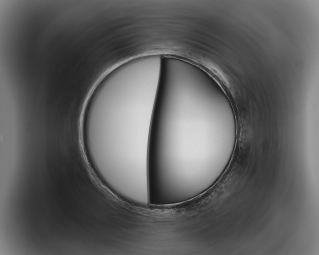 X0000098151080200804171152