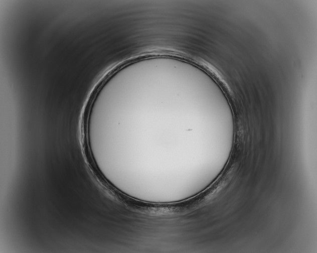 X0000098151082200804171151